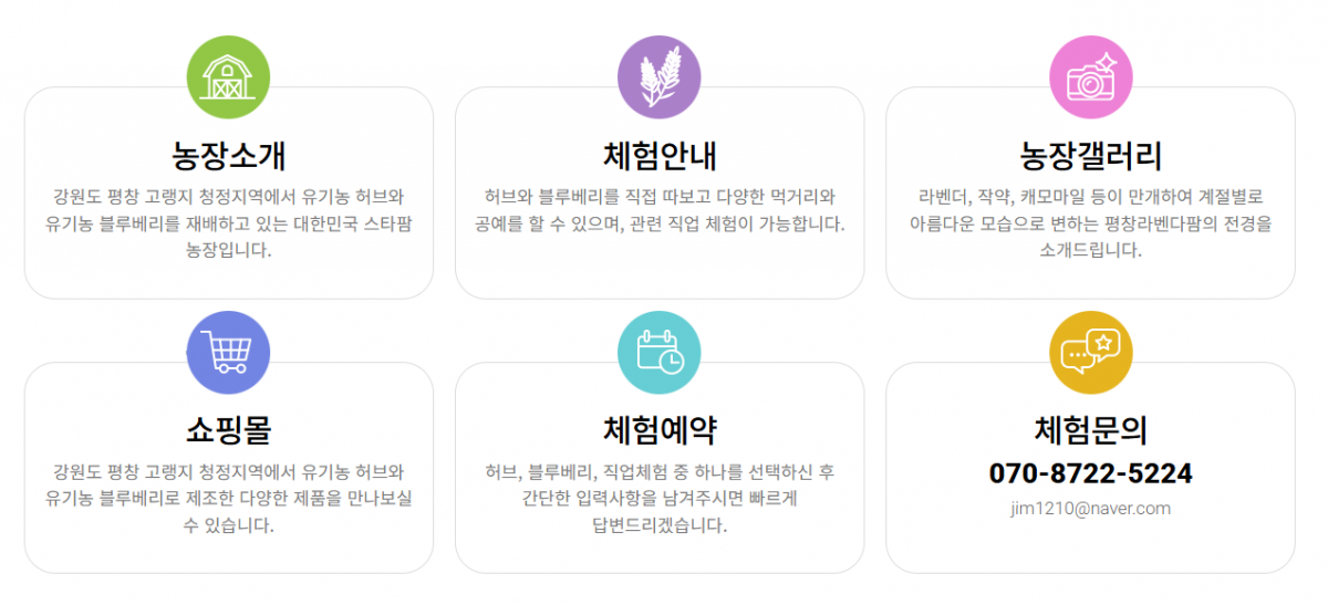평창라벤다팜 이미지 2